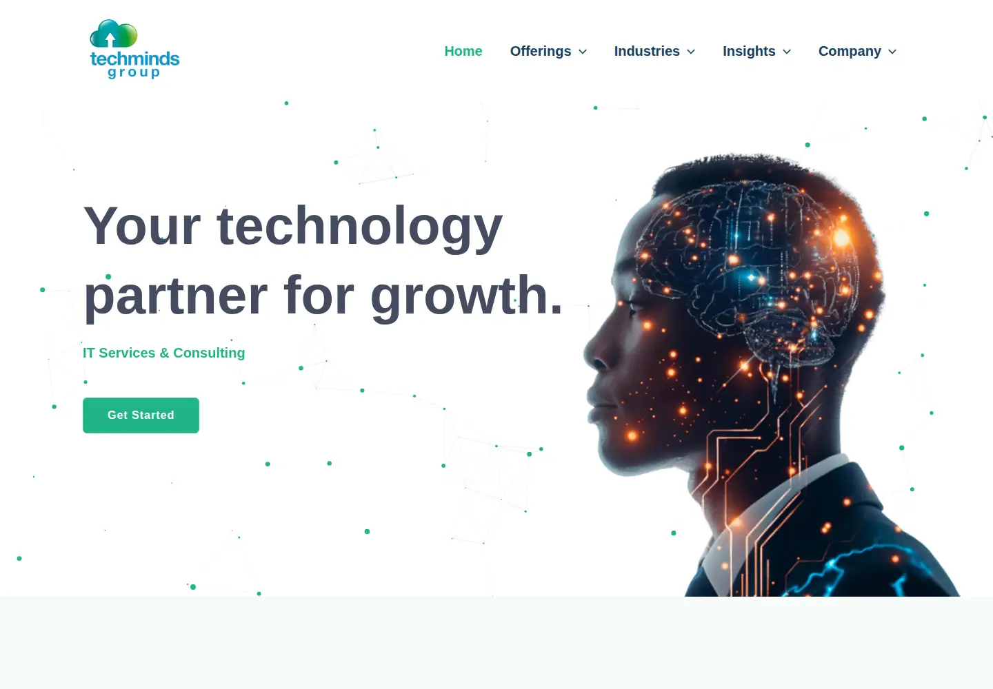 Screenshot of techmindsllc.com