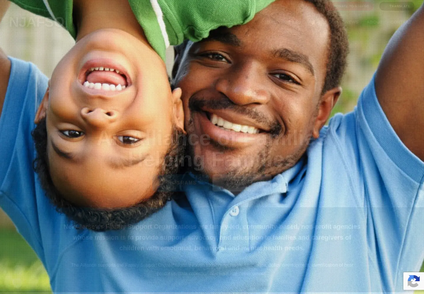 Screenshot of njfamilyalliance.org