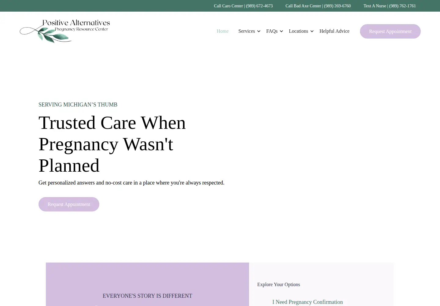 Screenshot of mypositivealternative.com