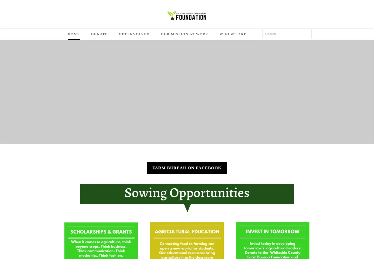 Screenshot of wcfbagfoundation.org