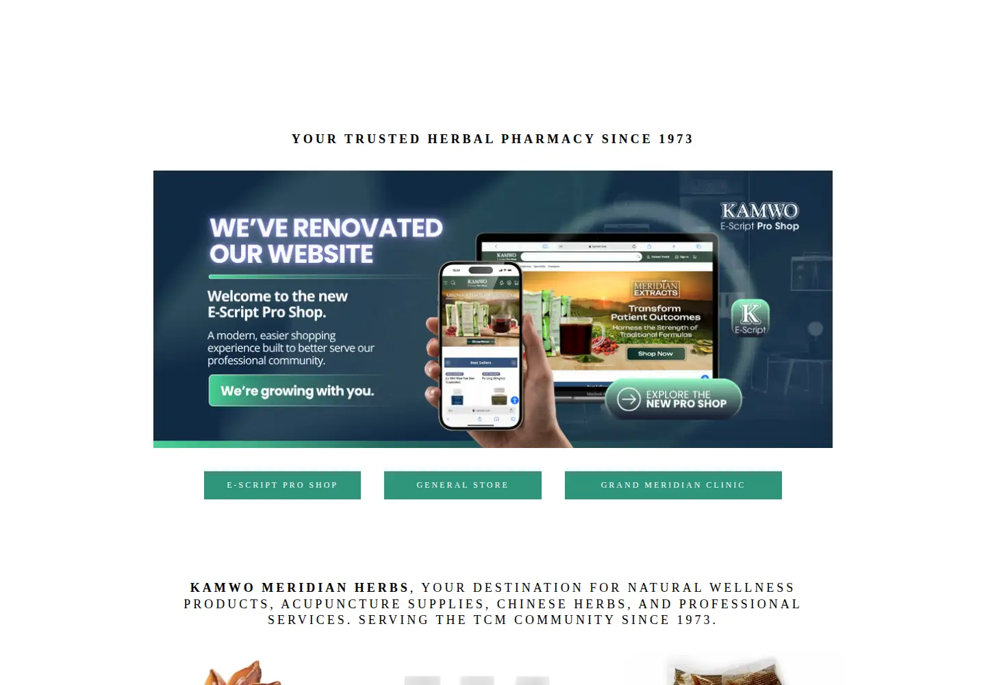 Screenshot of kamwoherbs.com