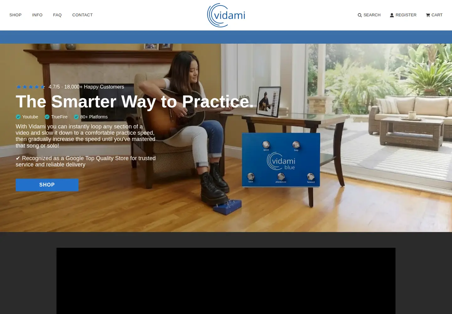 Captured homepage of vidami.com in the current scan