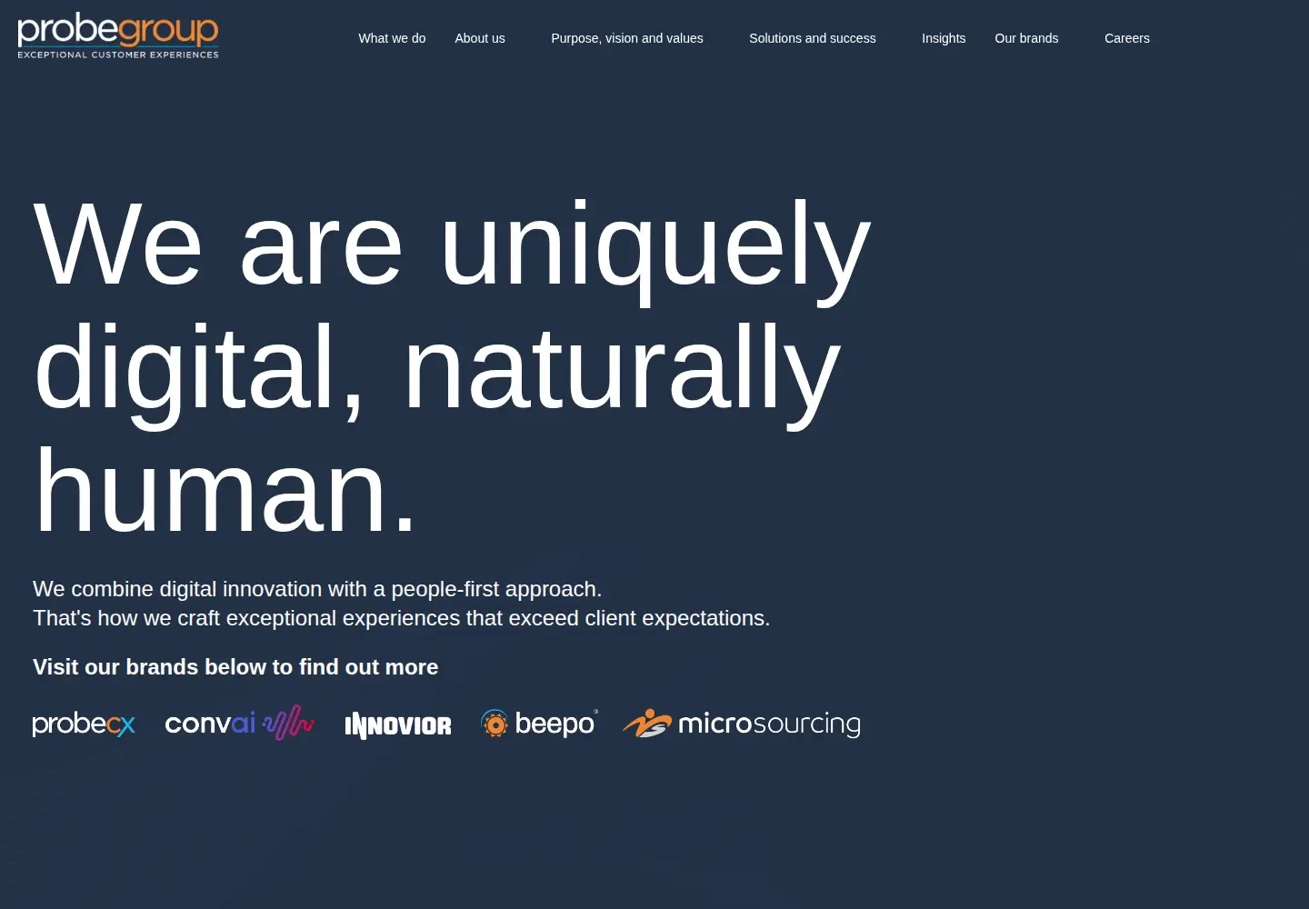 Screenshot of probe.group