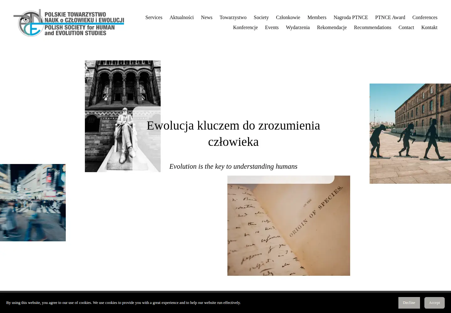 Screenshot of ptnce.pl