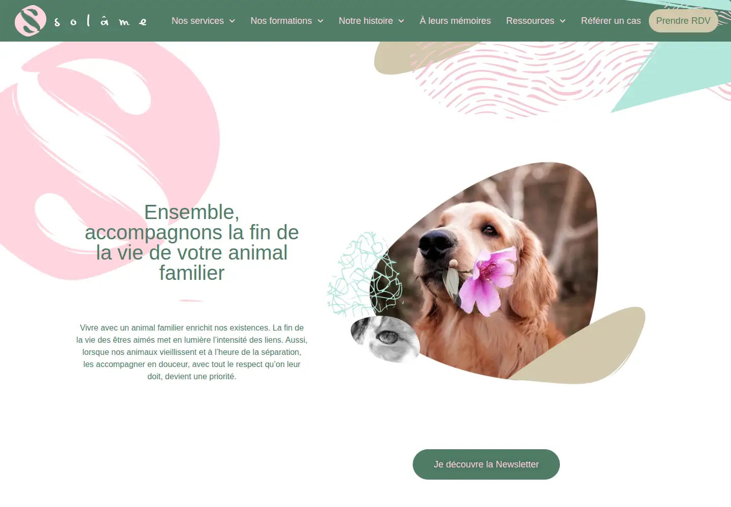 Screenshot of solame.vet