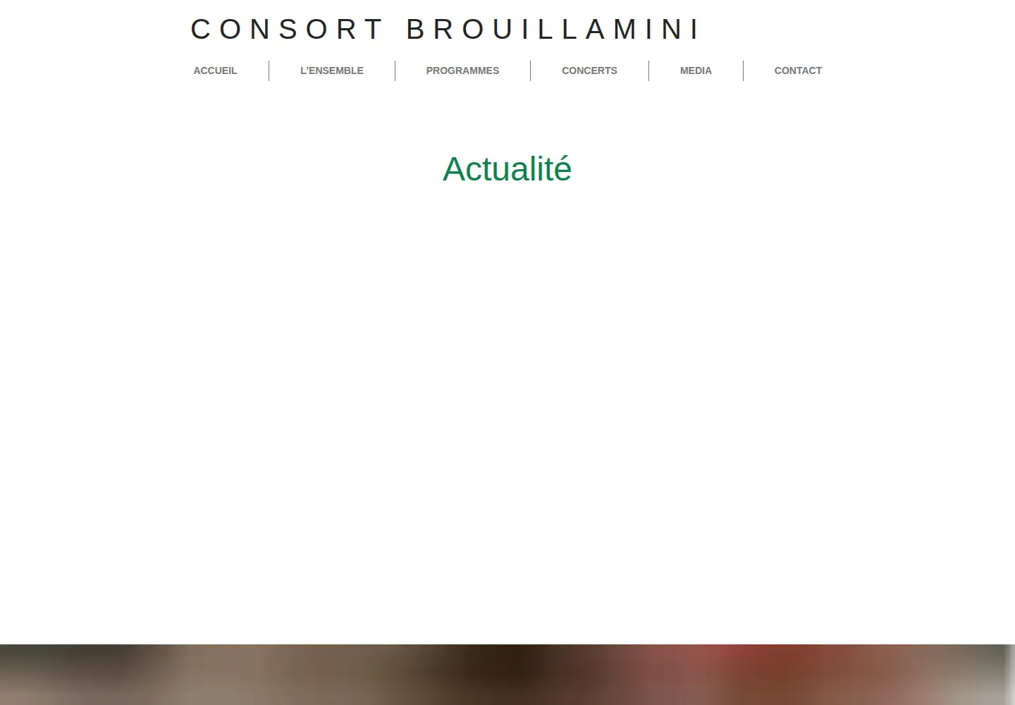 Screenshot of consortbrouillamini.com