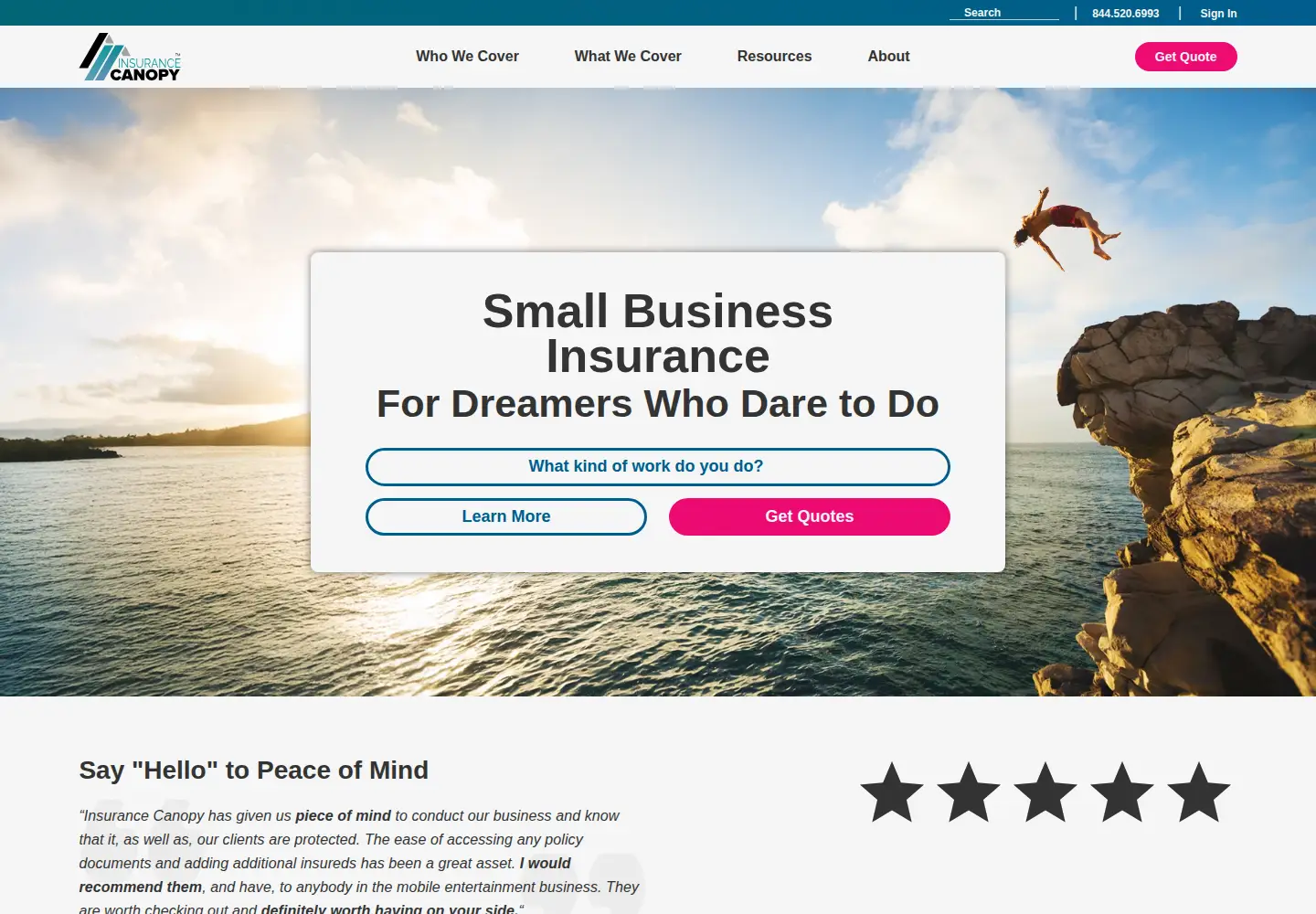 Captured homepage of insurancecanopy.com in the current scan