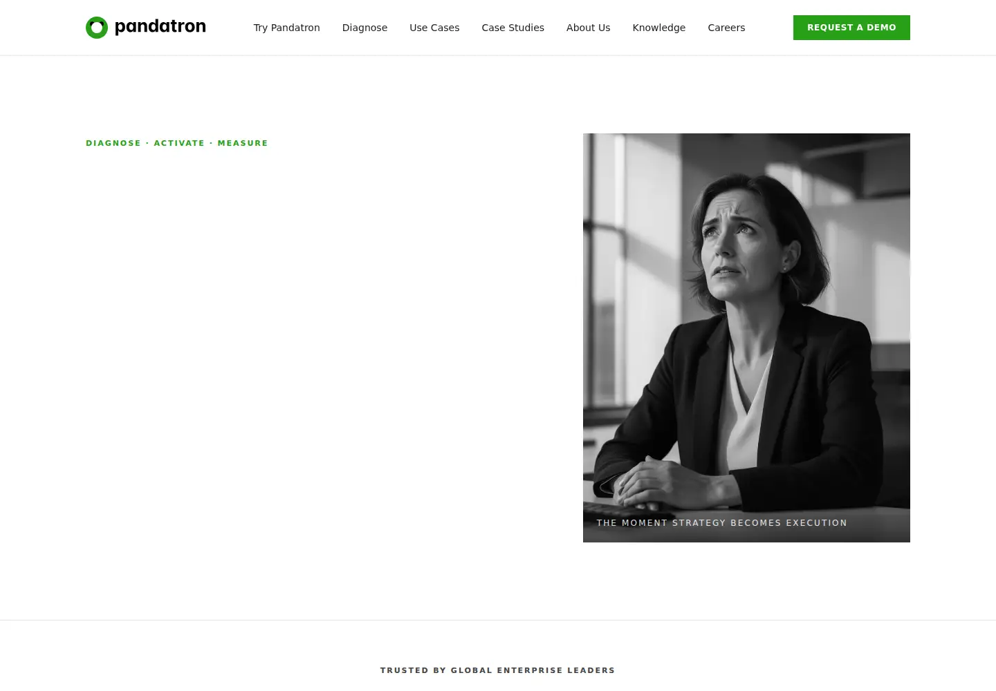 Captured homepage of pandatron.ai in the current scan
