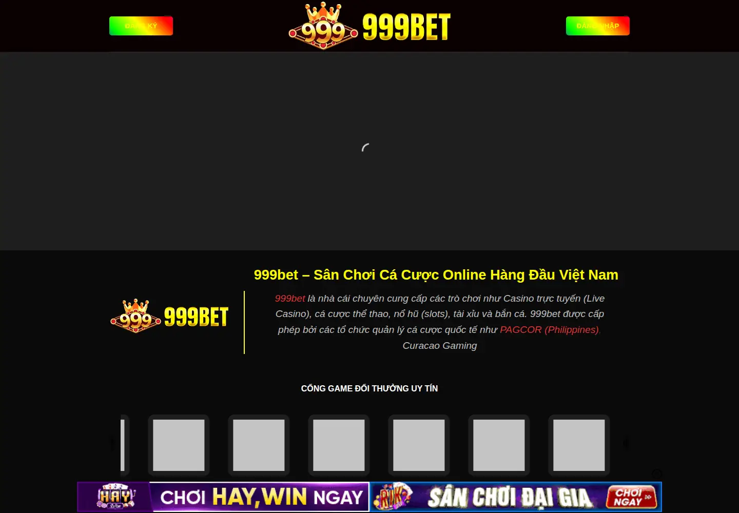 Screenshot of daca-13.org