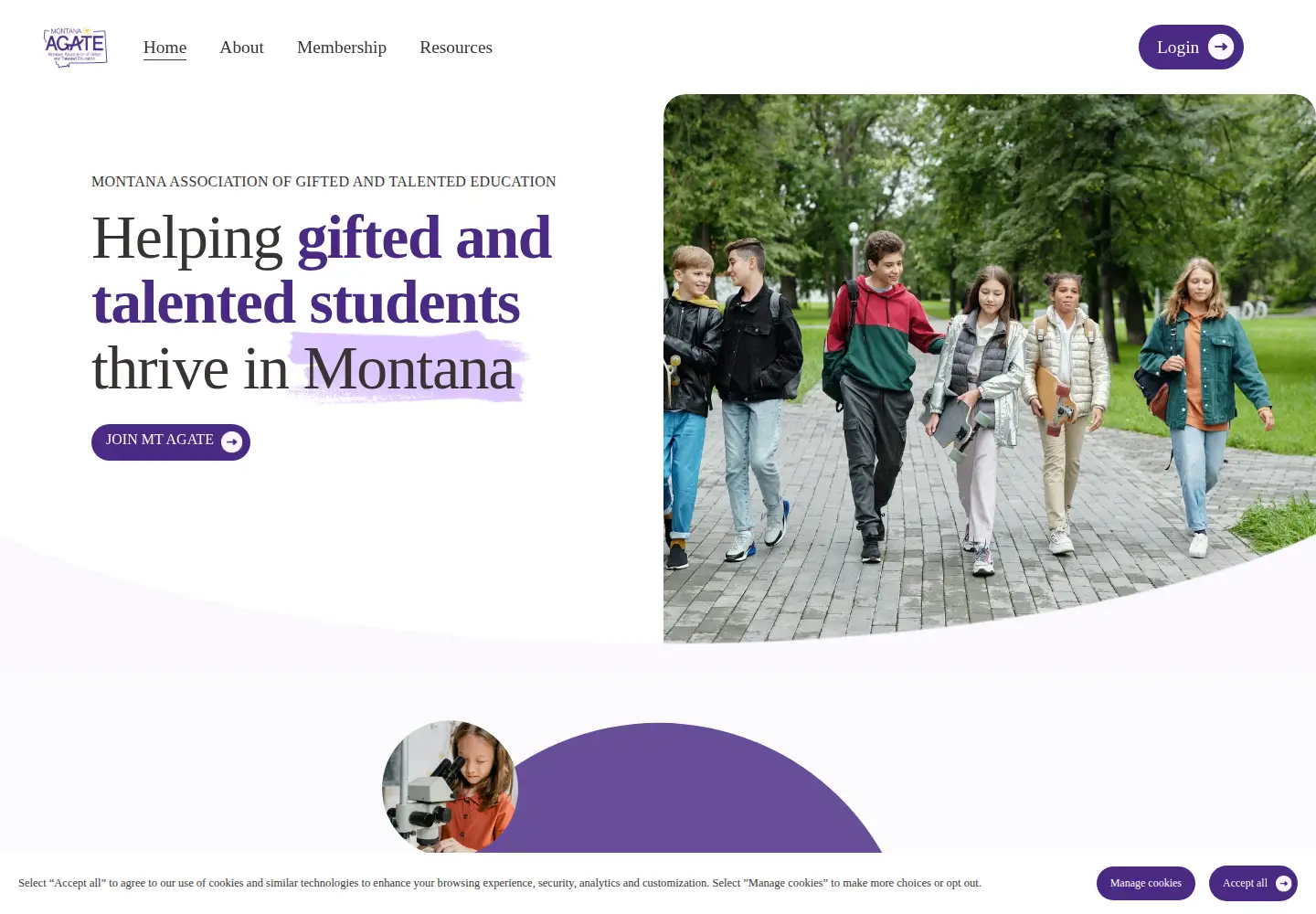 Screenshot of mtagate.org