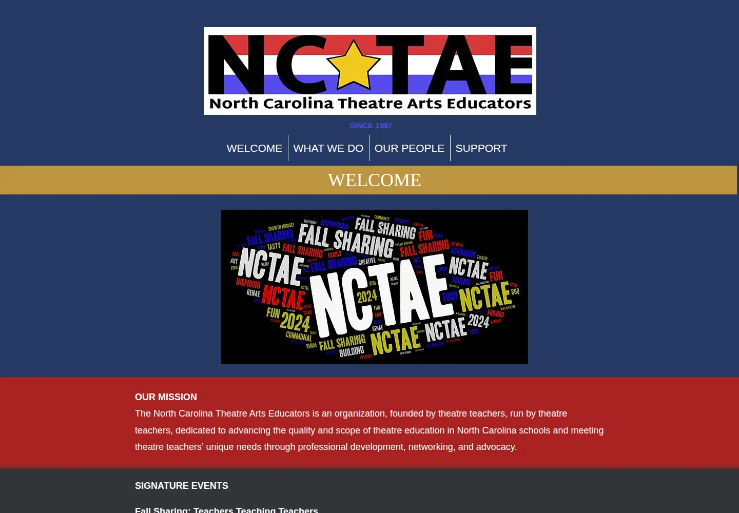 Captured homepage of nctae.com in the current scan