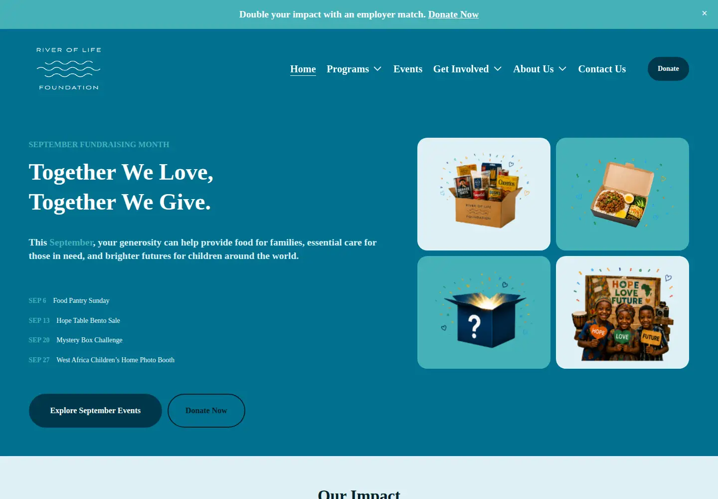 Screenshot of rolfusa.org