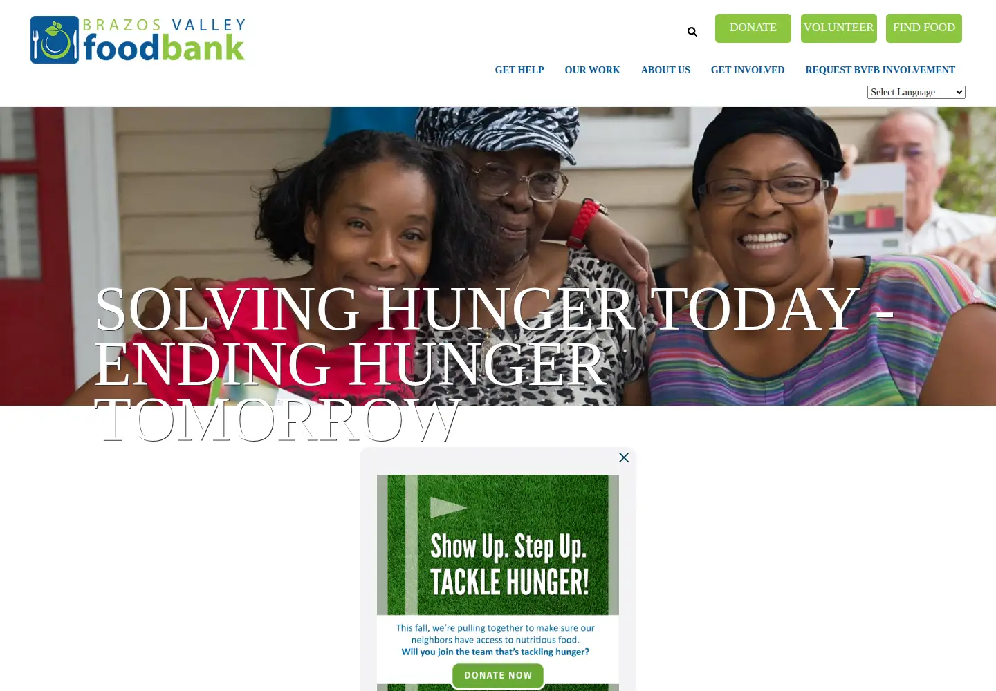Screenshot of bvfb.org
