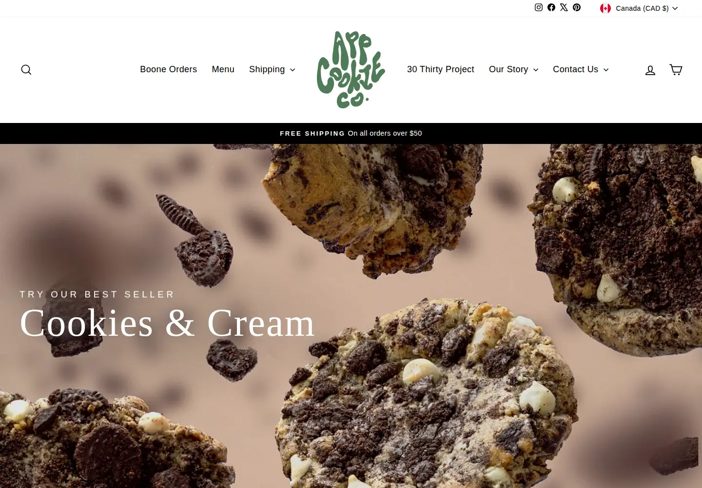 Captured homepage of appcookieco.com in the current scan