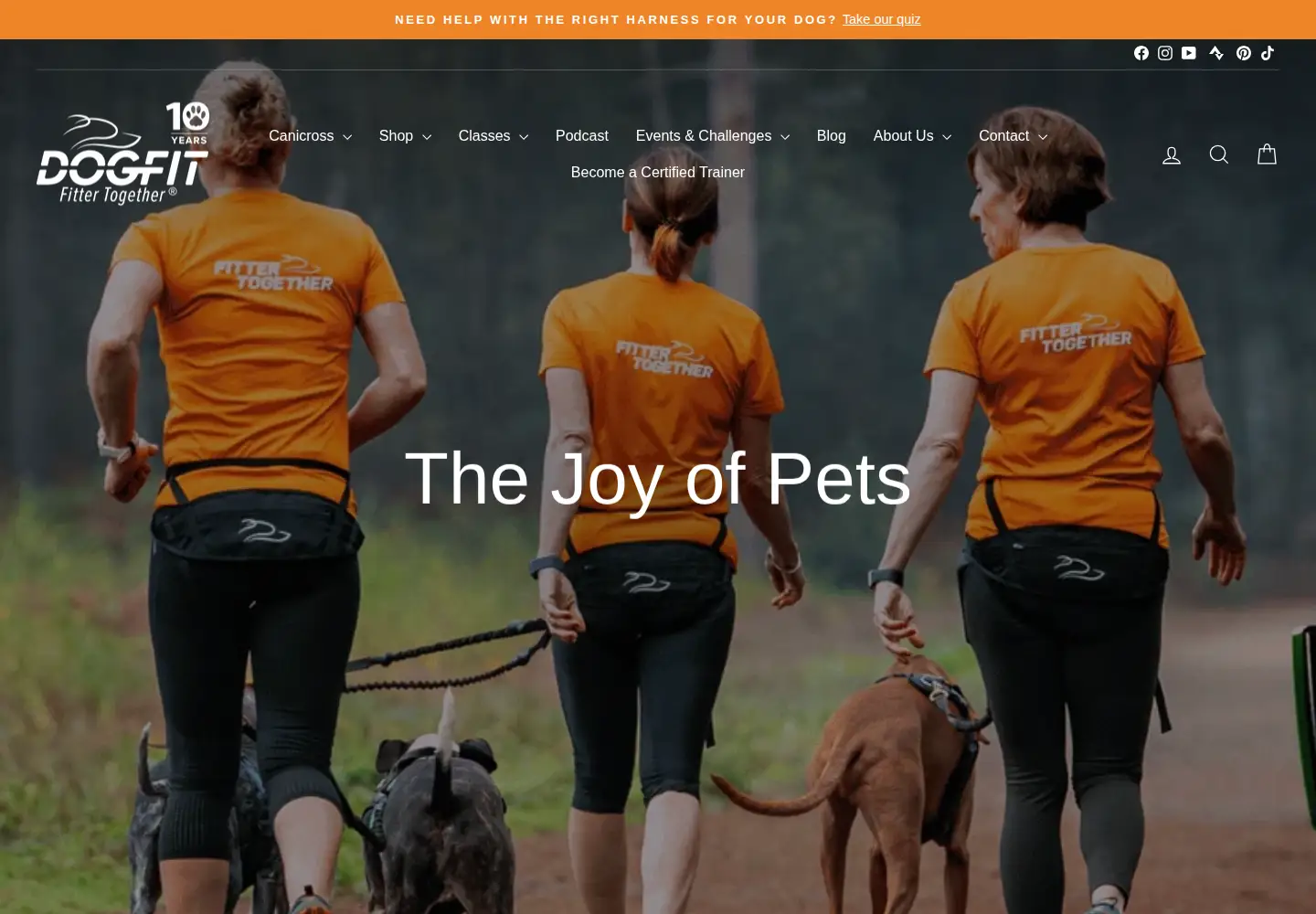 Captured homepage of dogfit.co.uk in the current scan