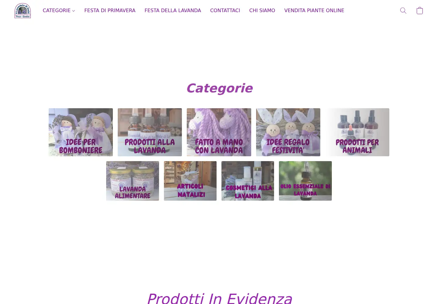 Screenshot of illavandetostore.com