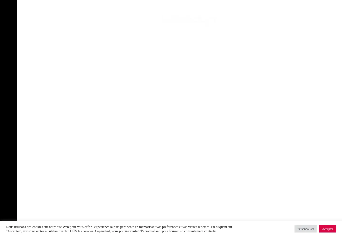 Screenshot of melodyn.fr