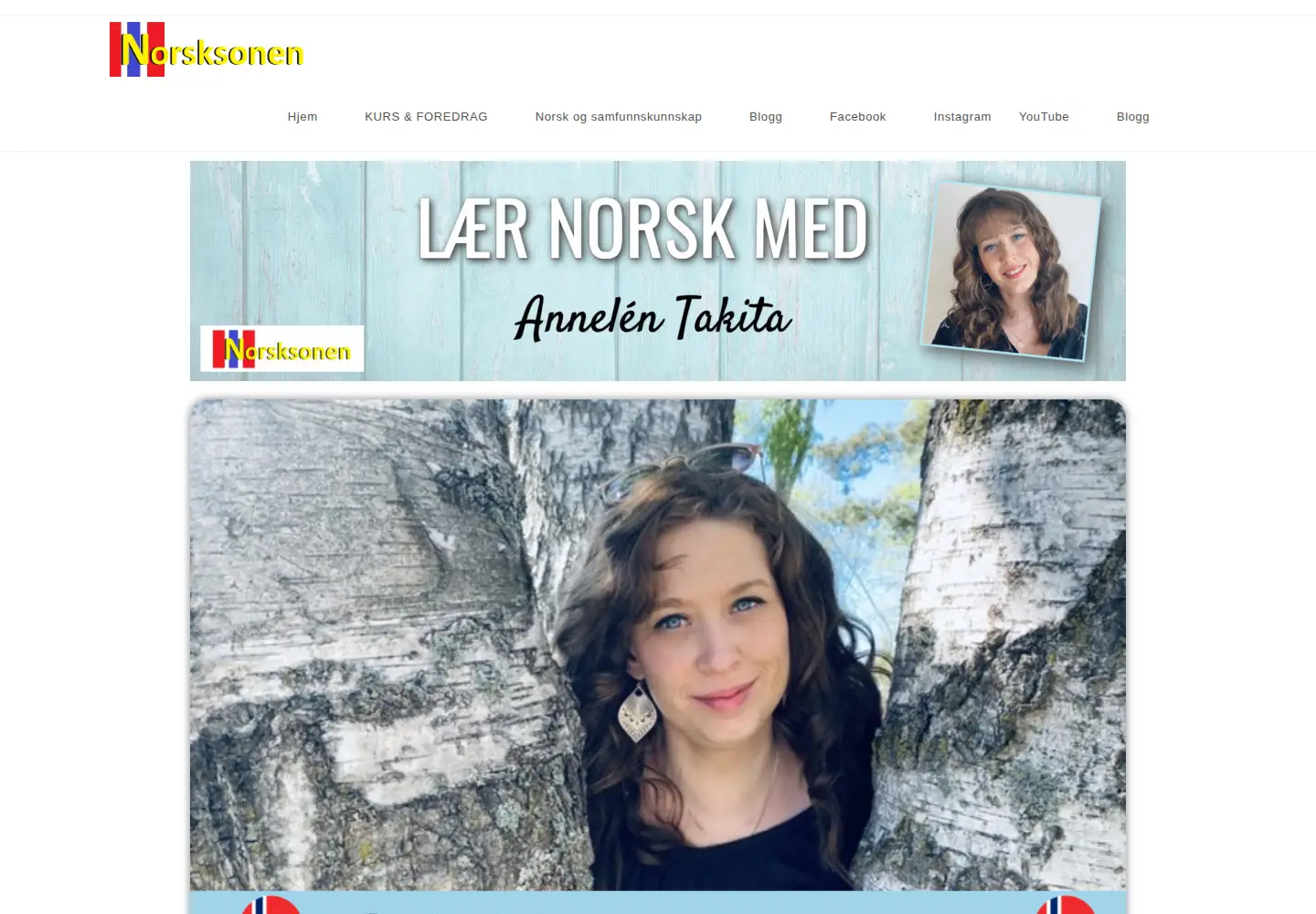 Captured homepage of norsksonen.com in the current scan