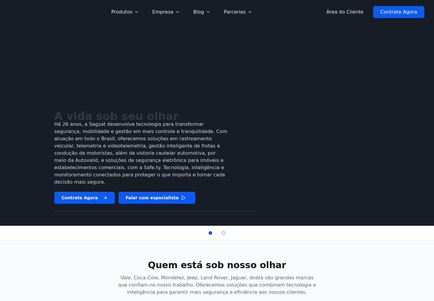 Screenshot of segsat.com