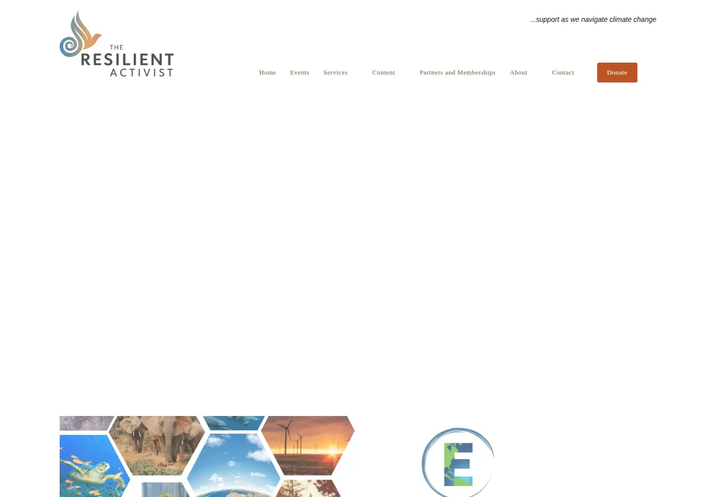 Screenshot of theresilientactivist.org
