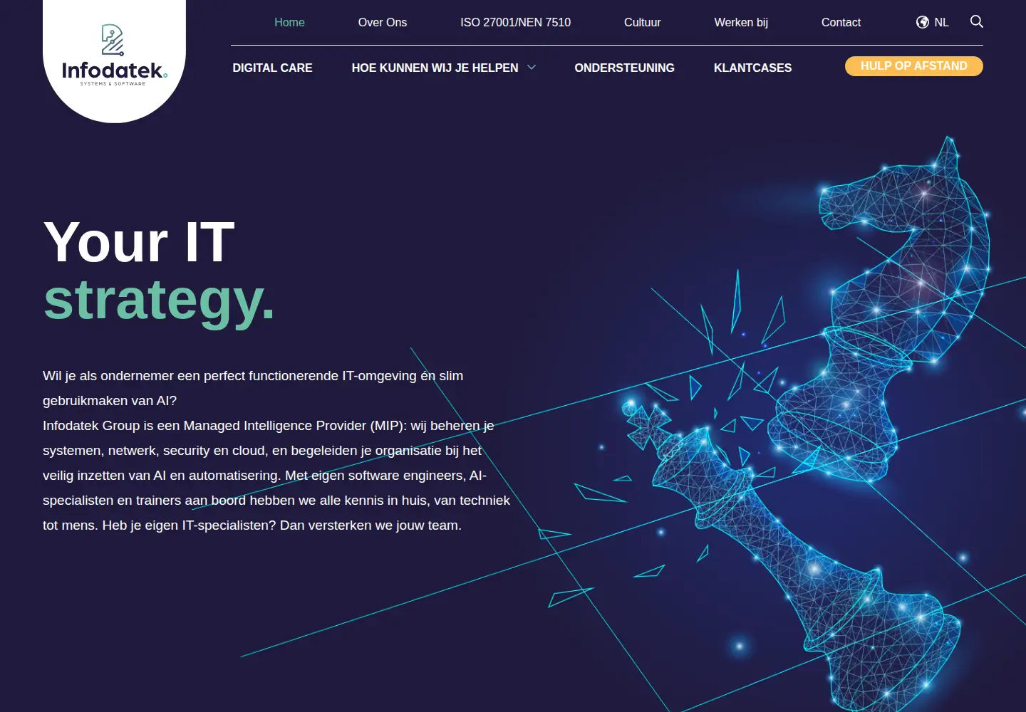 Screenshot of infodatek.com