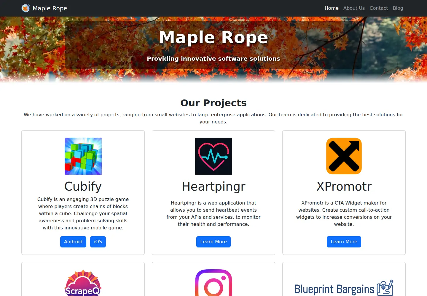 Screenshot of maplerope.com