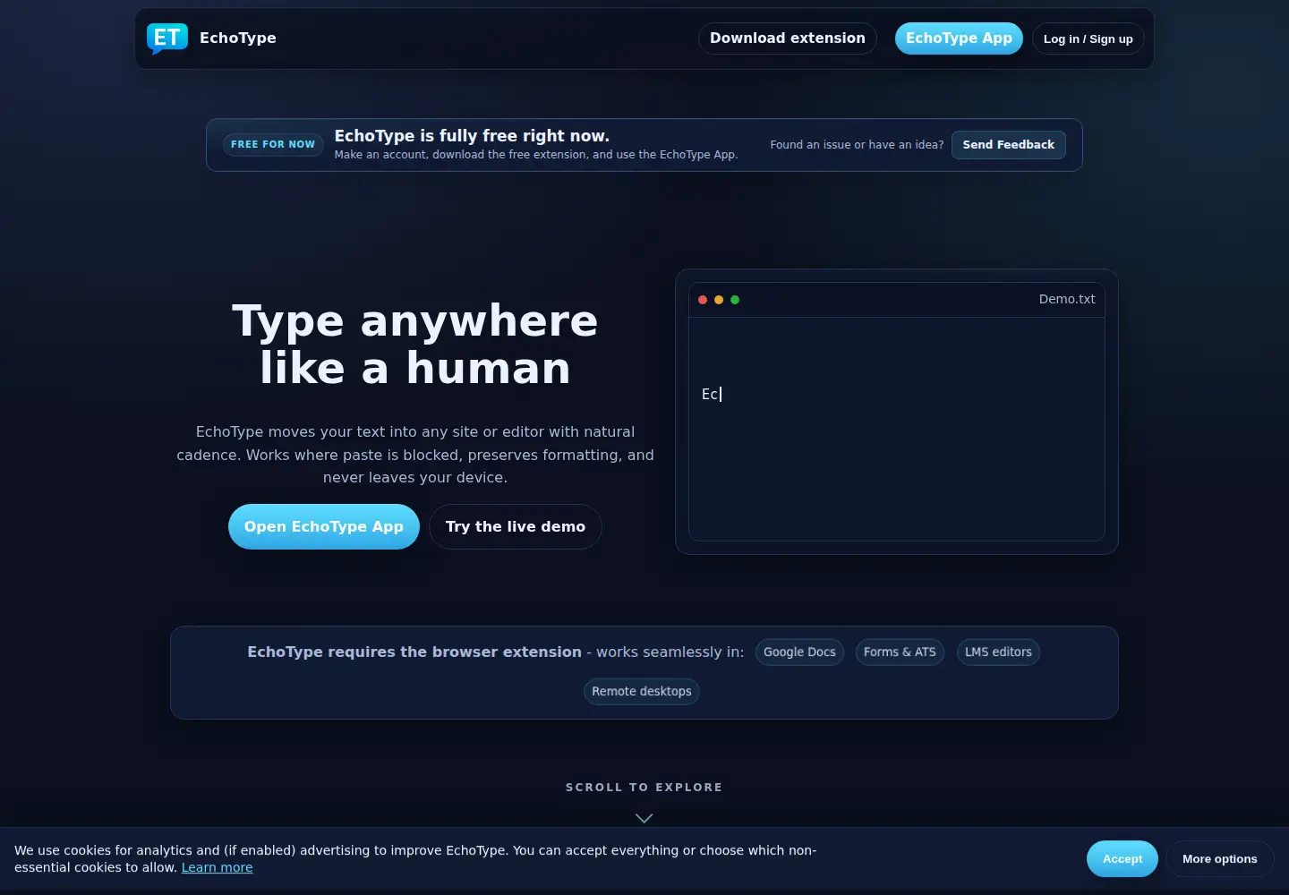 Screenshot of echo-type.com