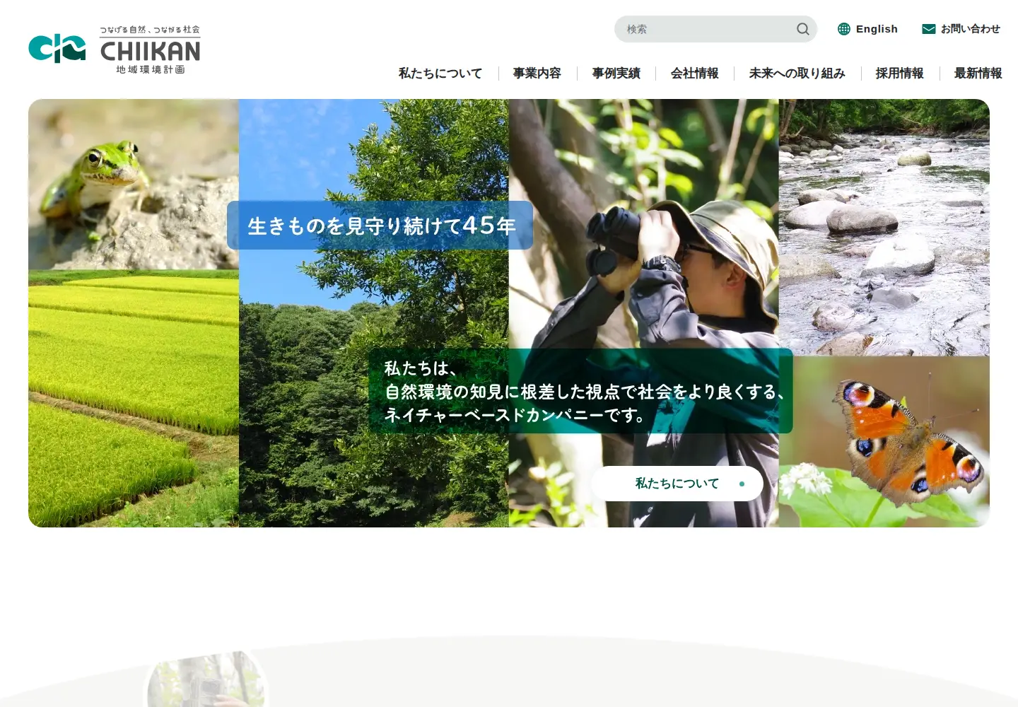 Captured homepage of chiikan.co.jp in the current scan