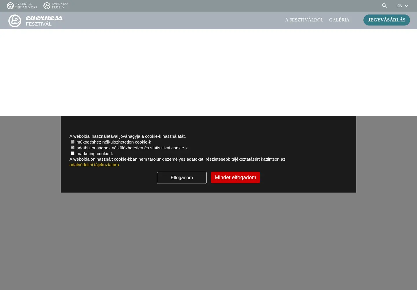 Captured homepage of everness.hu in the current scan