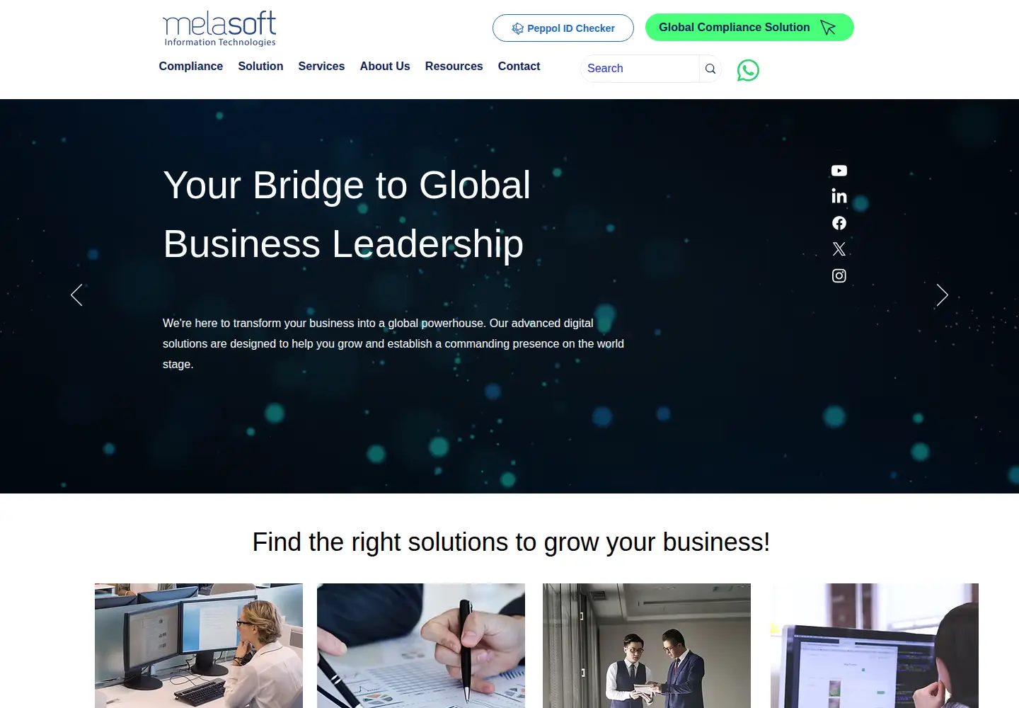 Screenshot of melasoft.com