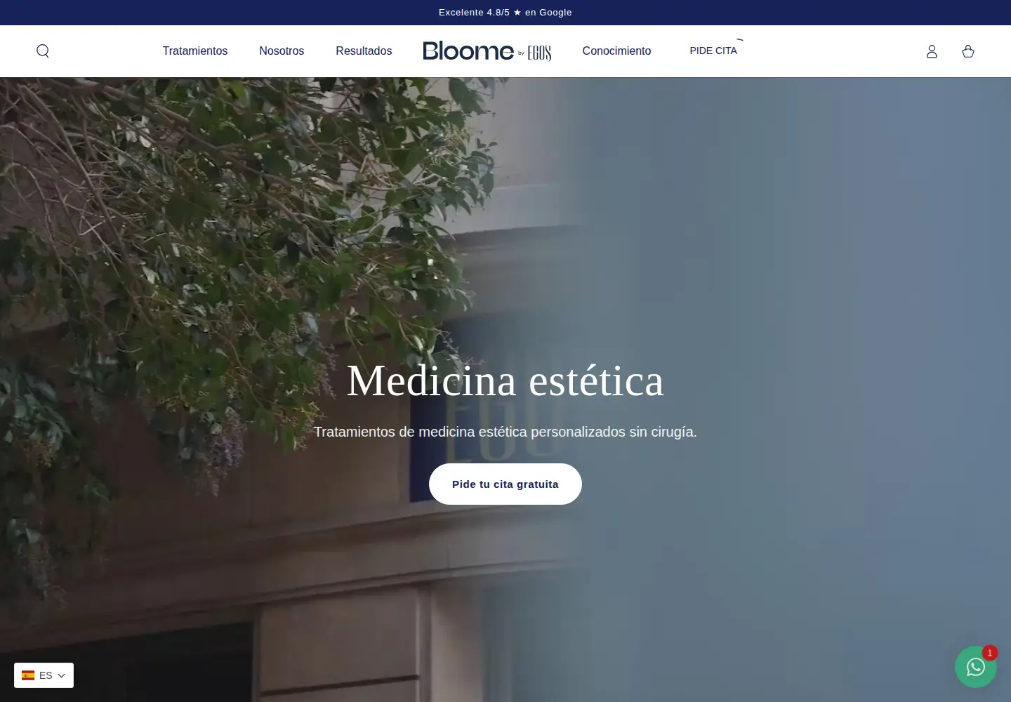 Screenshot of heybloome.com