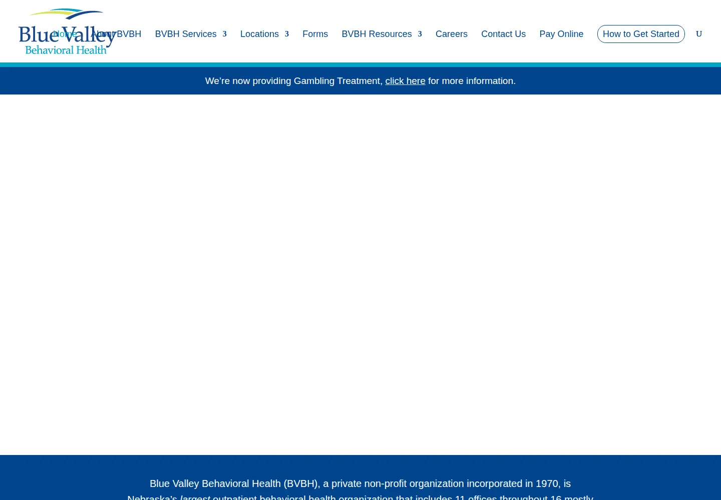 Captured homepage of bvbh.net in the current scan
