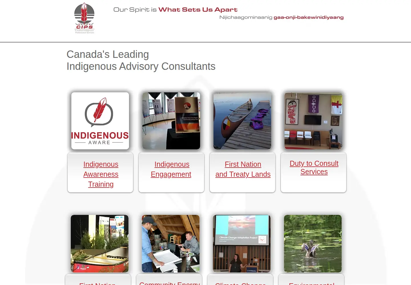 Screenshot of indigenousaware.com