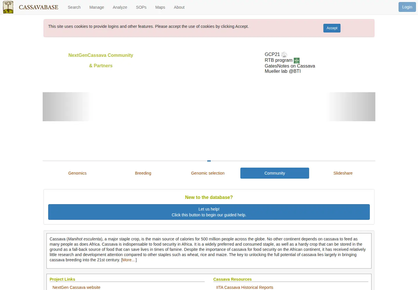 Screenshot of cassavabase.org