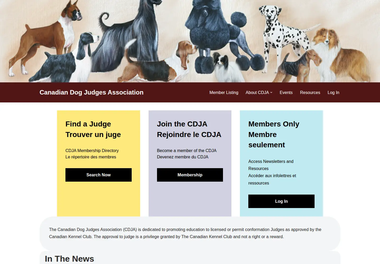 Captured homepage of dogjudge.com in the current scan
