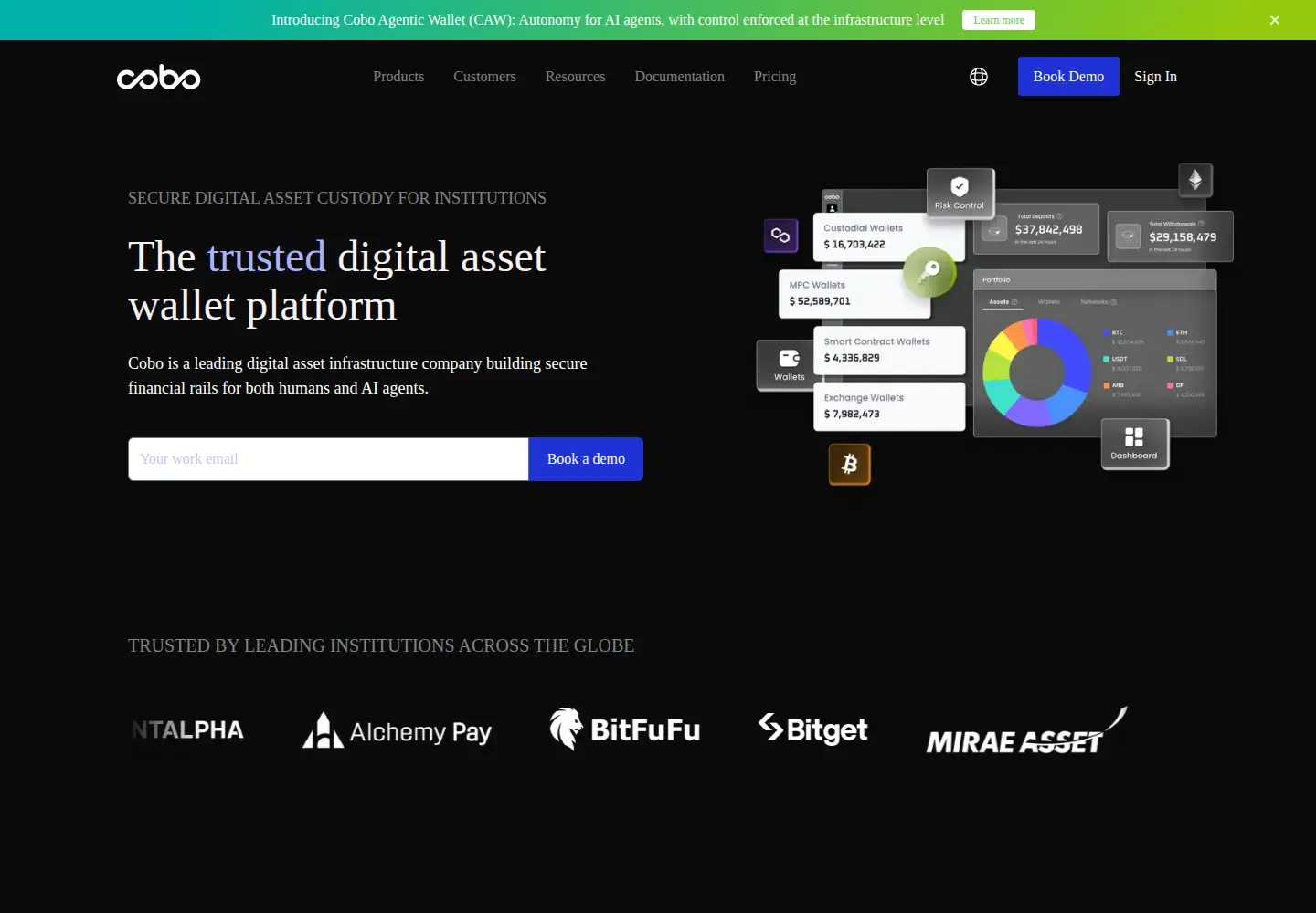 Captured homepage of cobo.com in the current scan