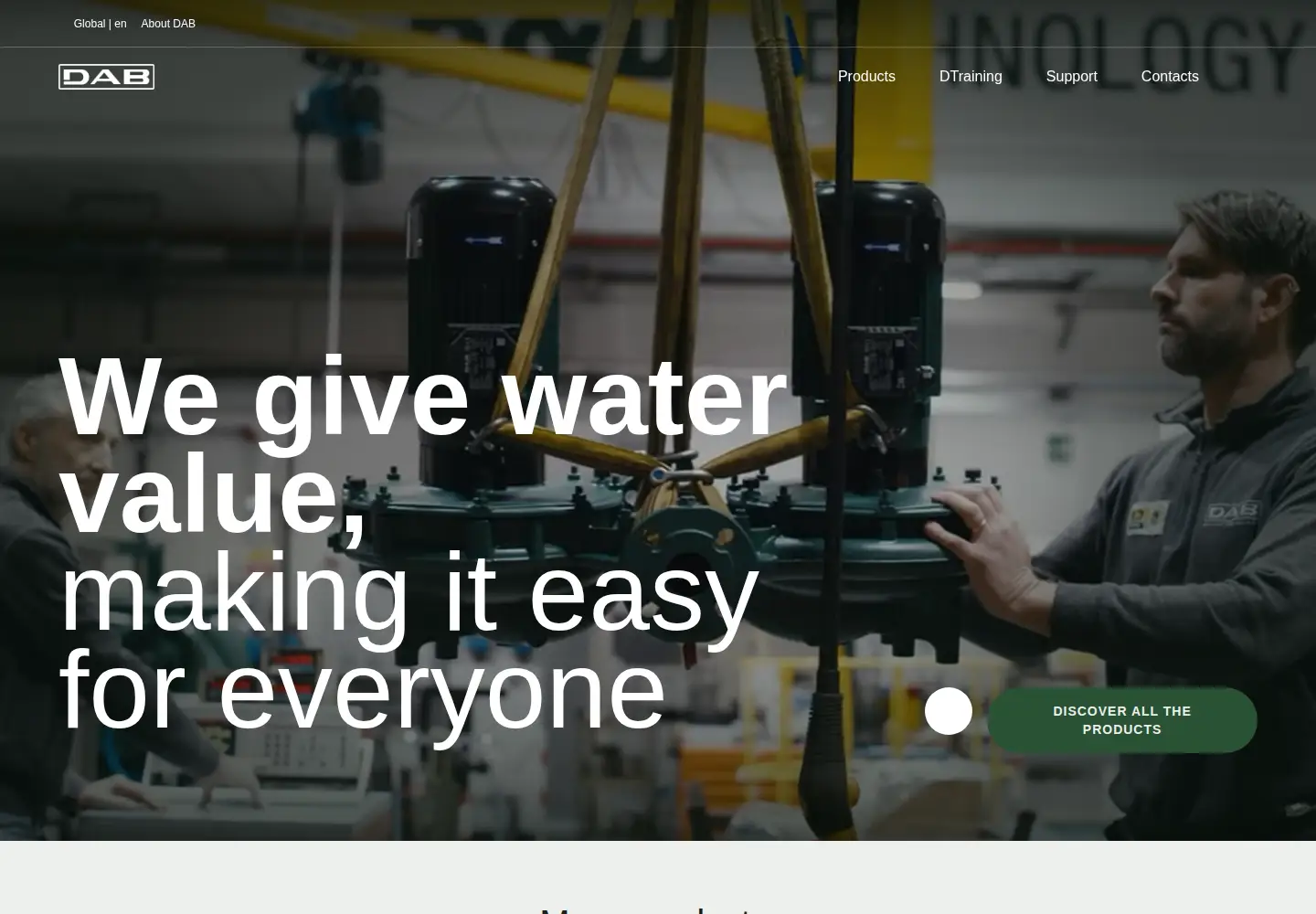 Screenshot of dabpumps.com