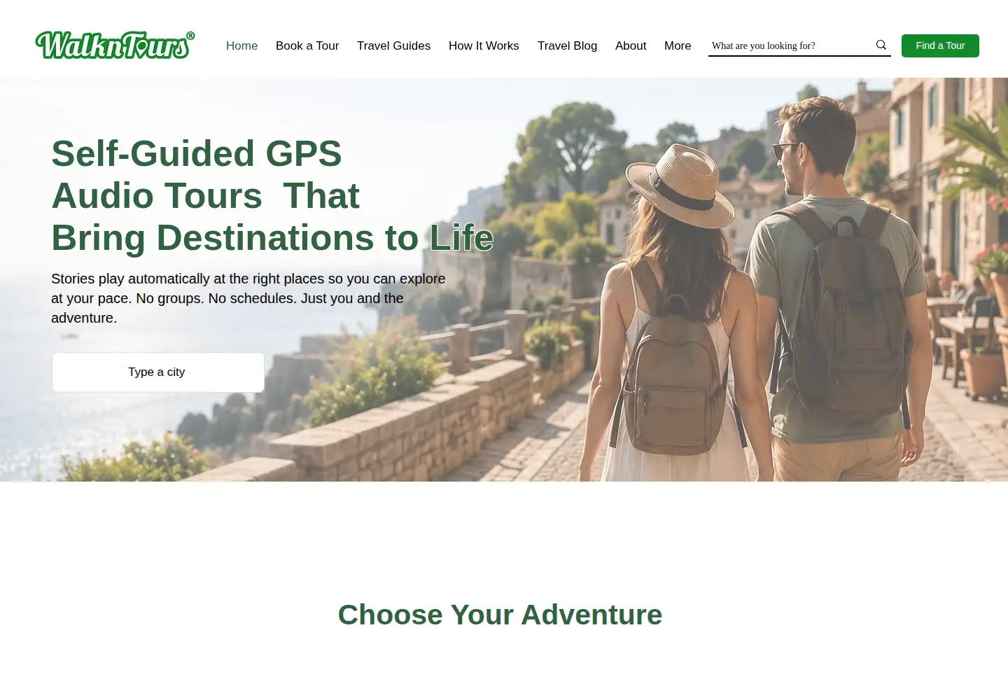 Screenshot of walkntours.com