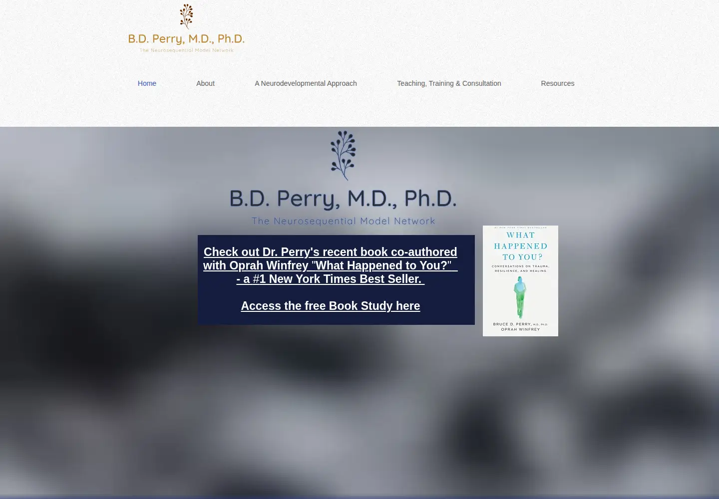 Screenshot of bdperry.com