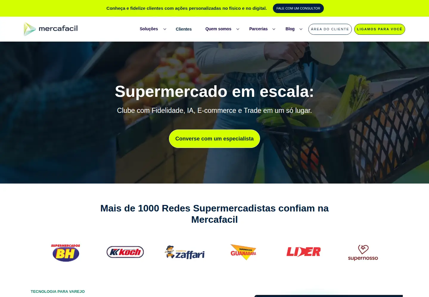 Captured homepage of mercafacil.com in the current scan