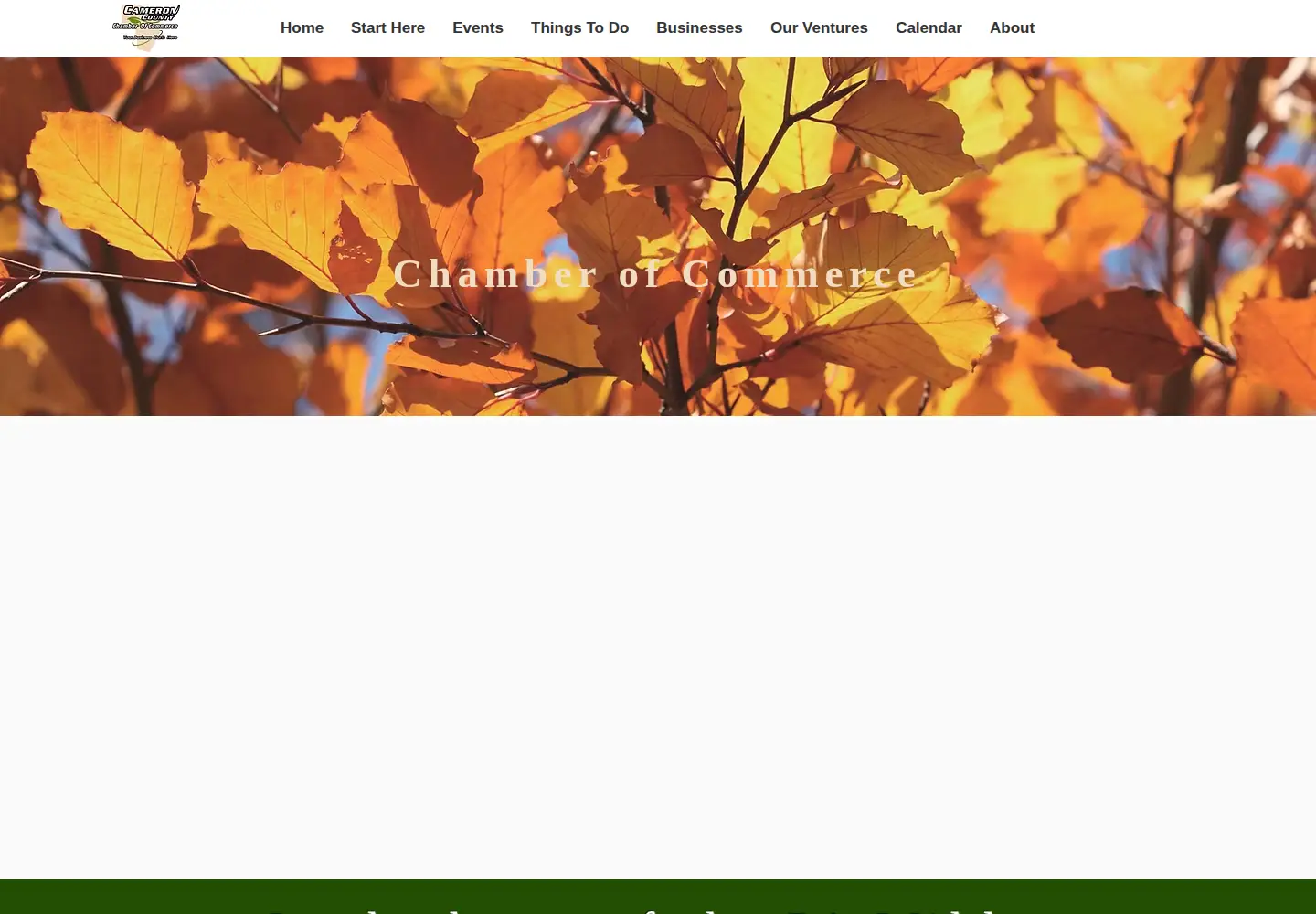 Captured homepage of cameroncountychamber.org in the current scan