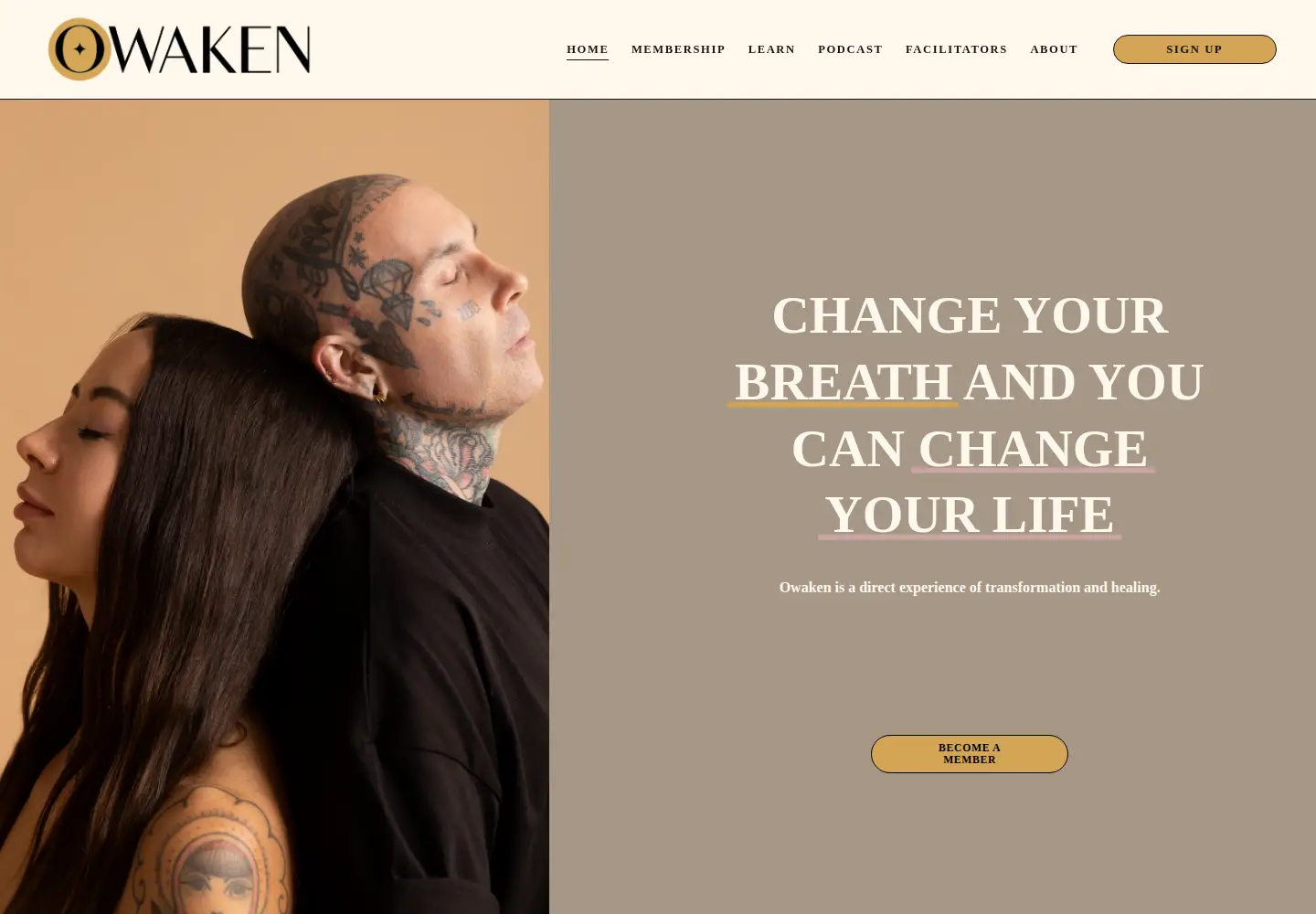 Screenshot of owaken.com