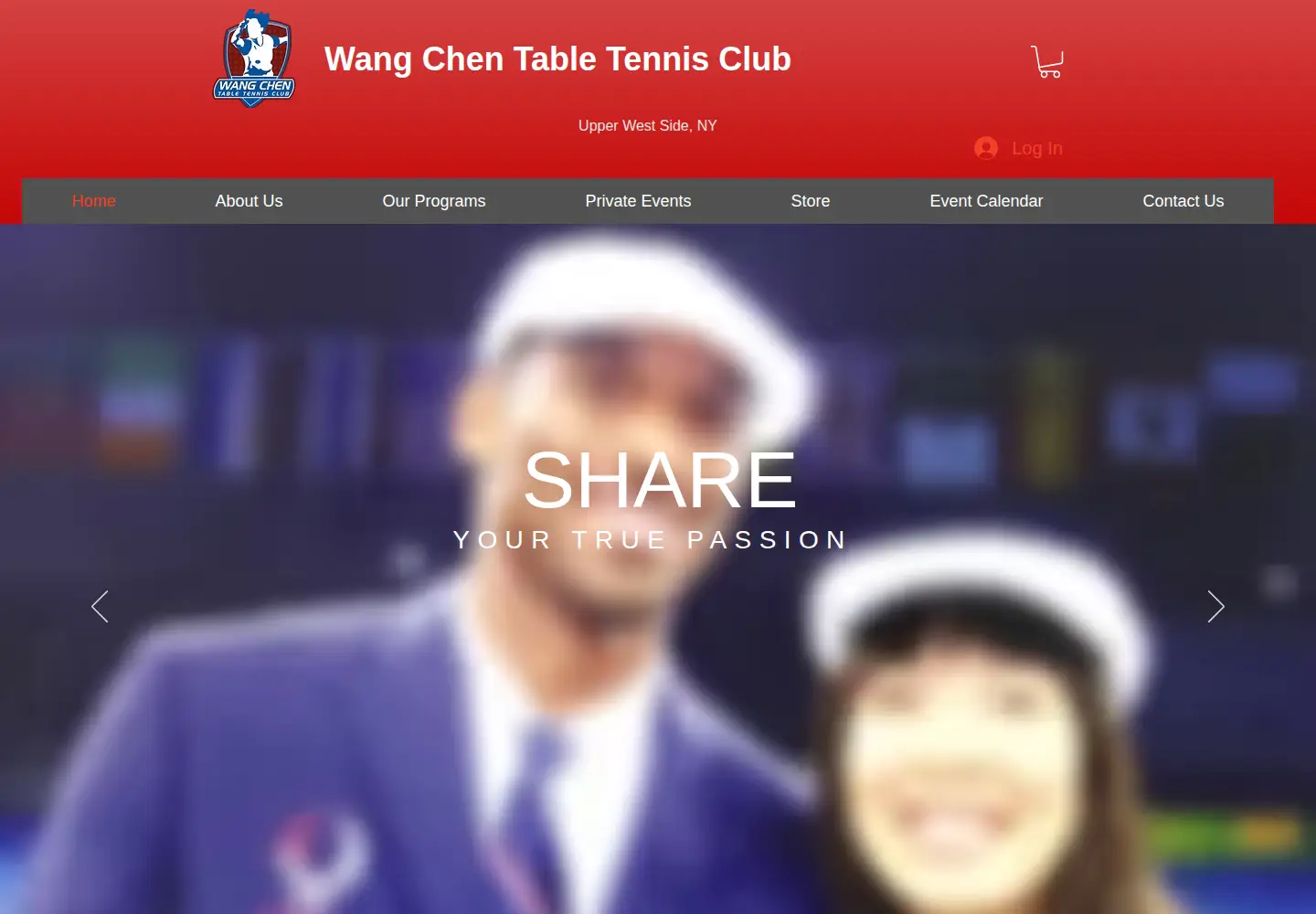 Captured homepage of wangchenttc.com in the current scan