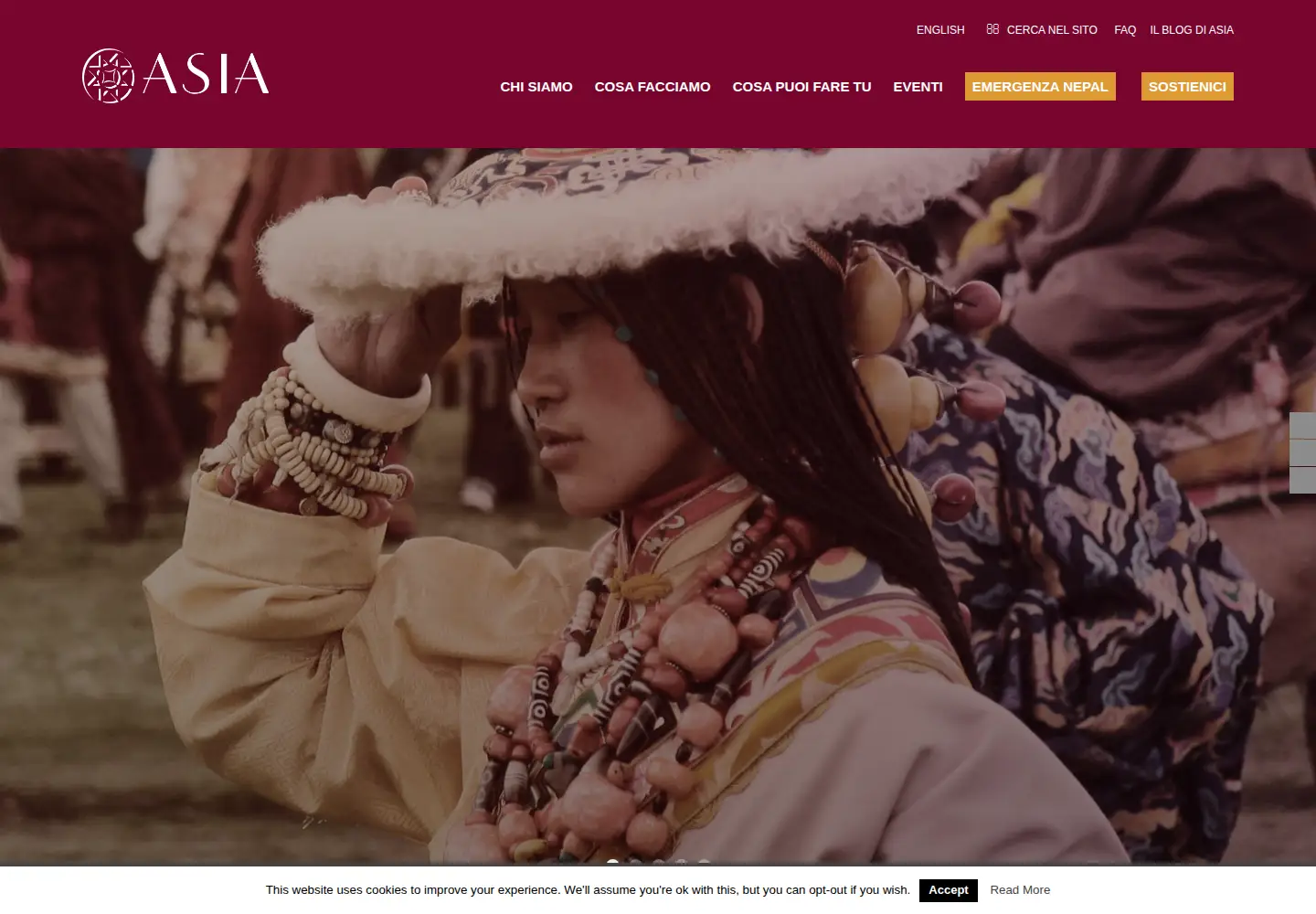 Captured homepage of asia-ngo.org in the current scan