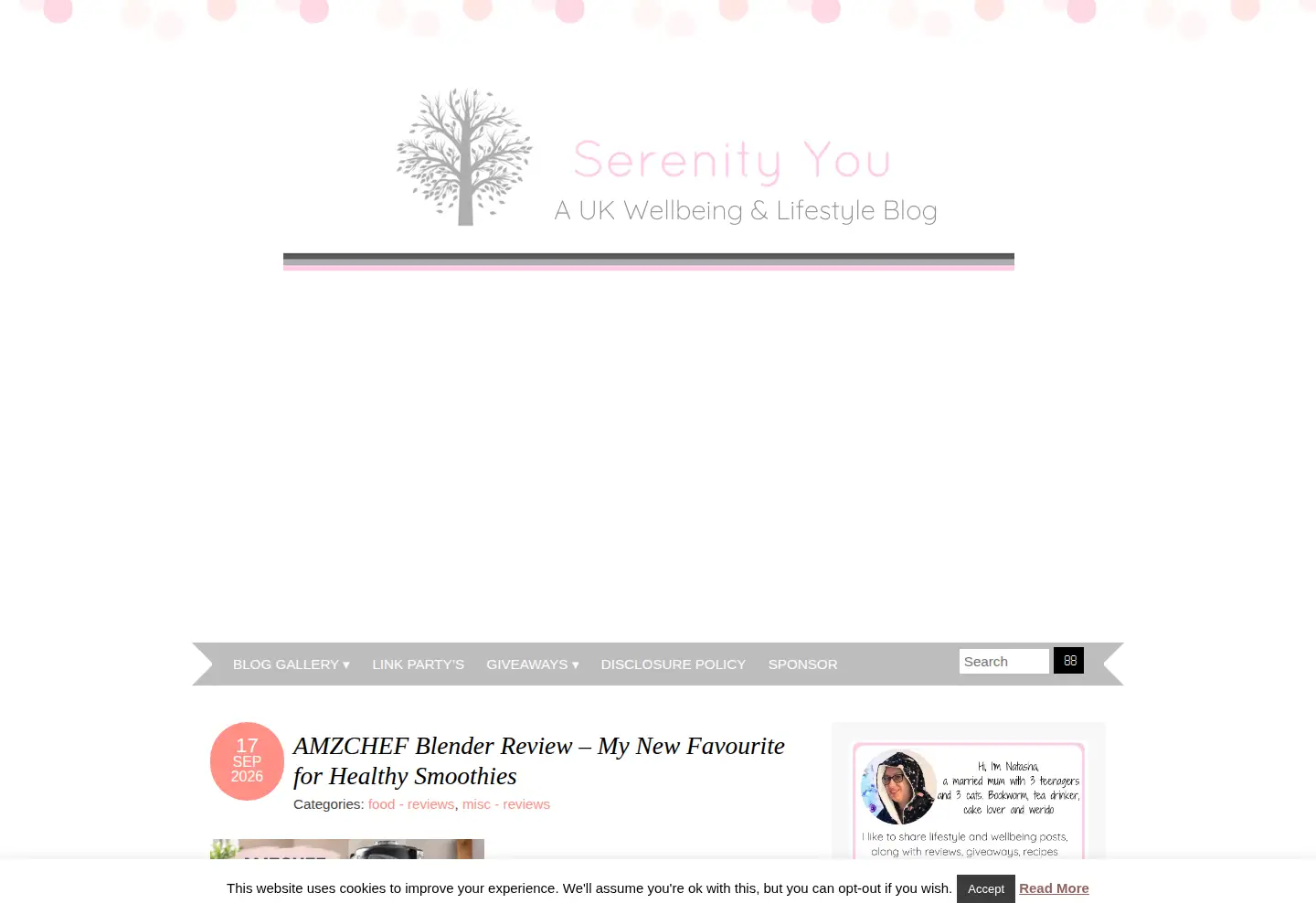 Captured homepage of serenityyou.com in the current scan