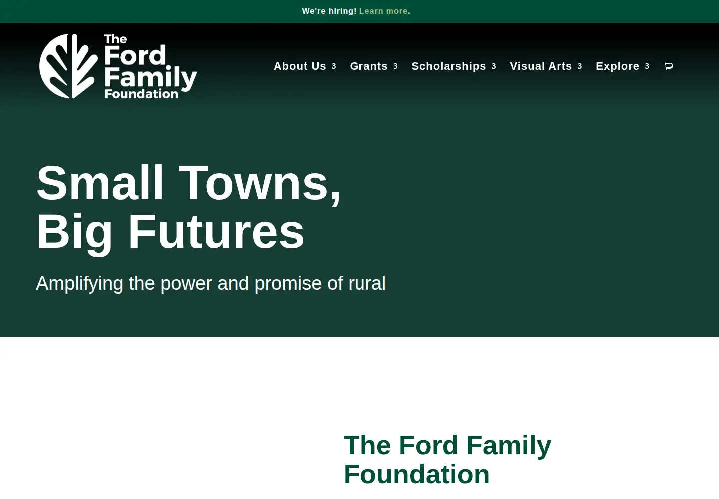 Screenshot of tfff.org