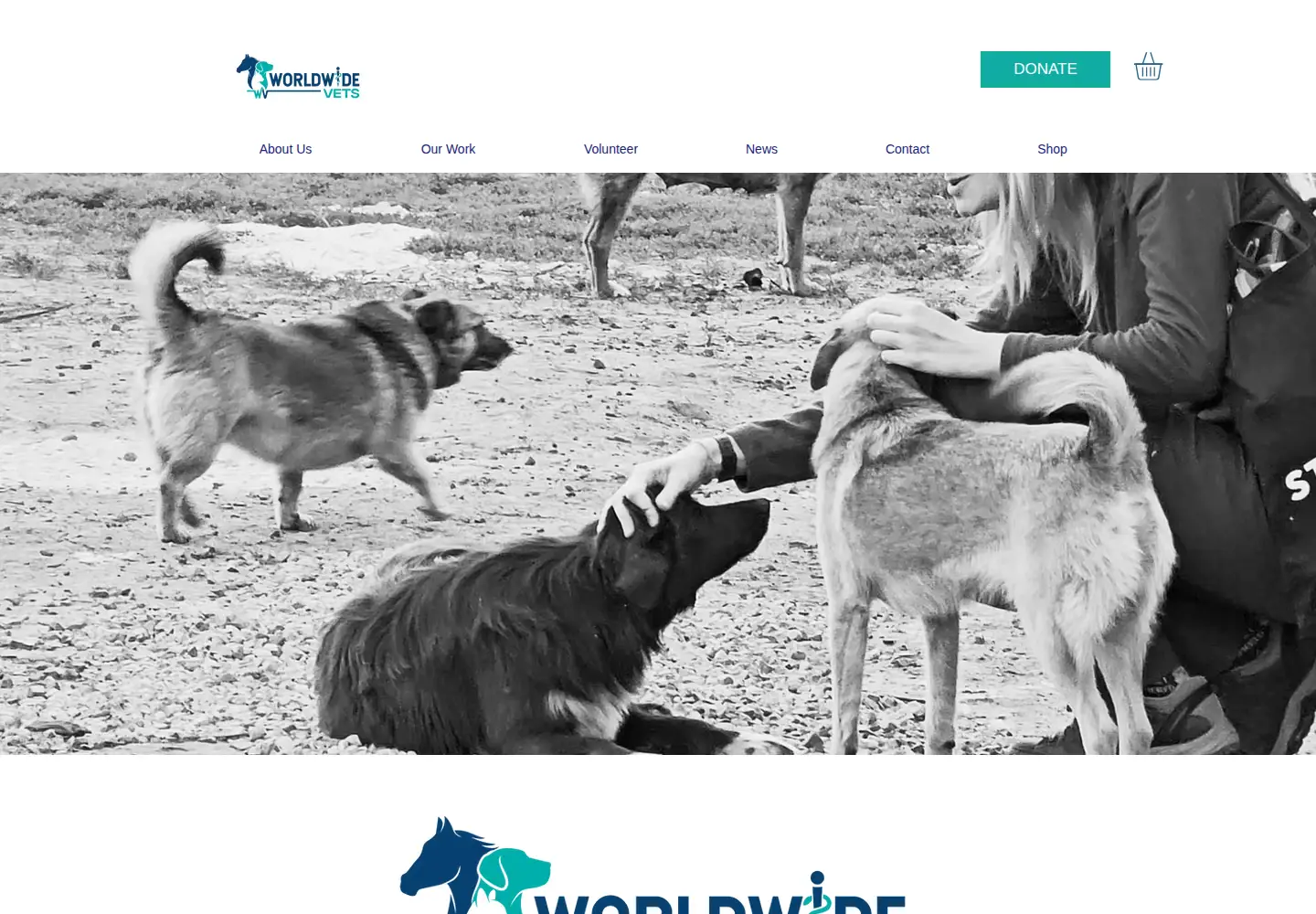 Screenshot of worldwide-vets.org