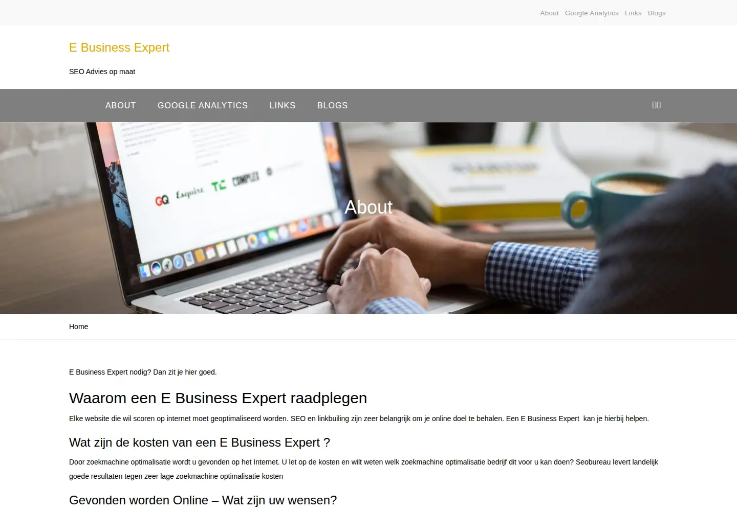Screenshot of ebusinessexpert.be