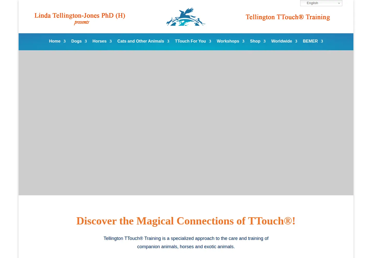 Captured homepage of ttouch.com in the current scan