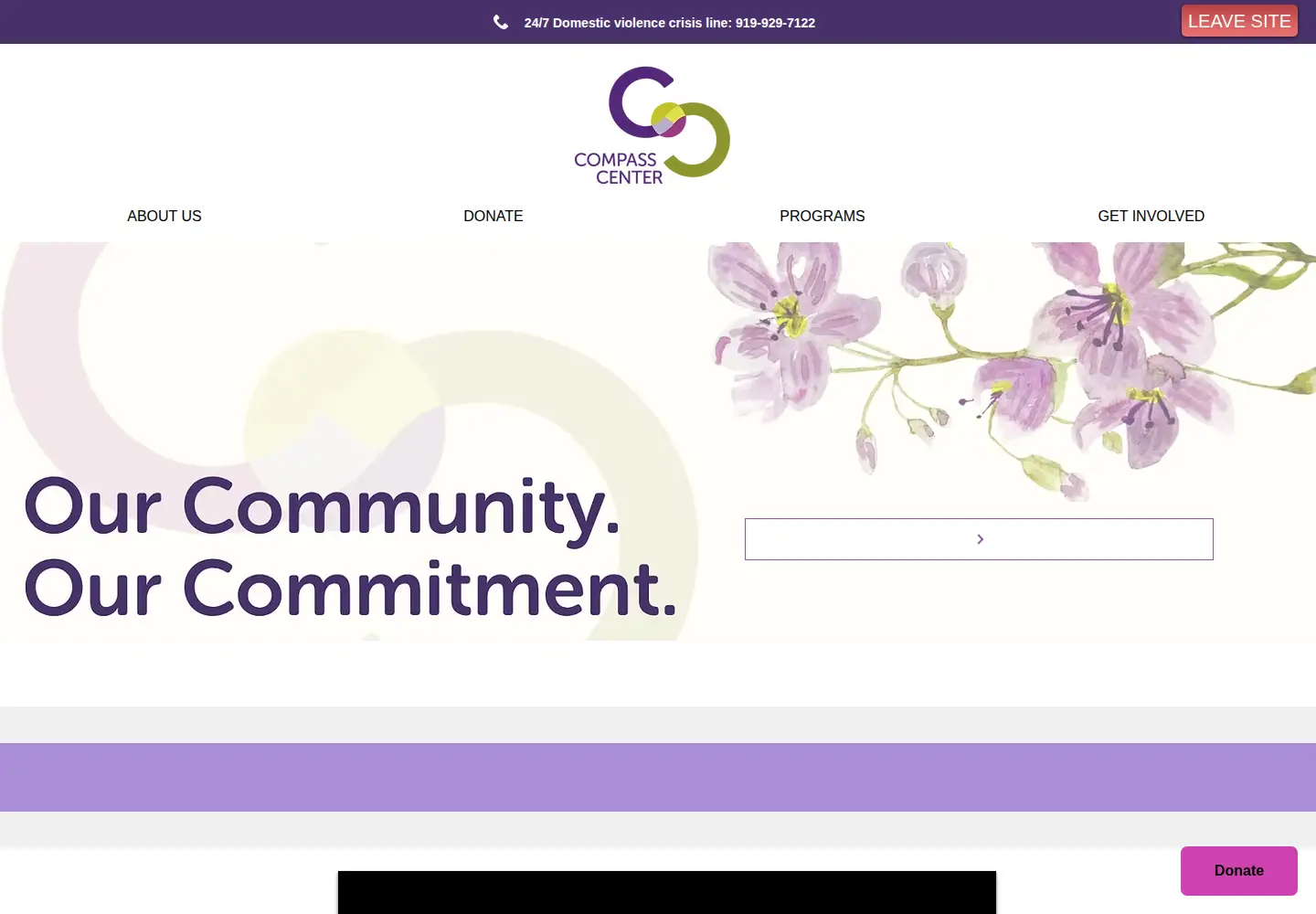 Captured homepage of compassctr.org in the current scan